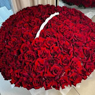 Rose rouge