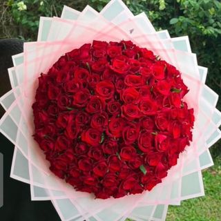 Rose rouge