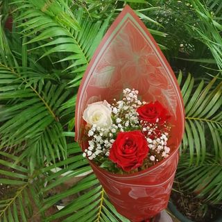 Bouquet de 3 rose