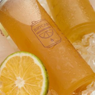 Canjuice Coco -Mangue 330ml