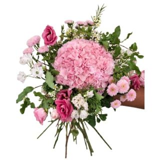 Lagune Rose
