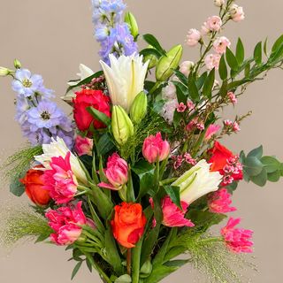Explosion florale