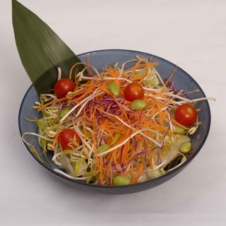 Japanese Veggie Salade