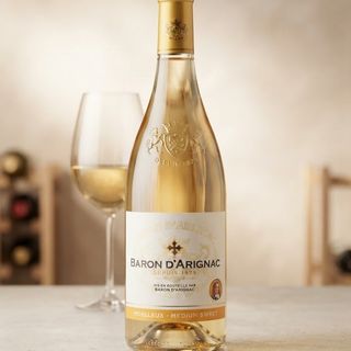 Baron d arignac