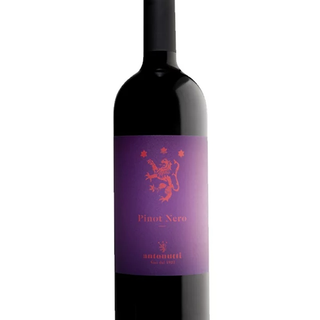Pinot Nero Antonutti (Tinto)