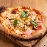 pizza caprichosa (grande)