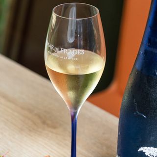 Viña Sol Torres,  Parellada, Garnacha blanca