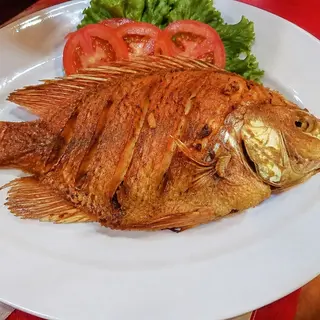 Tilapia Roja Frita