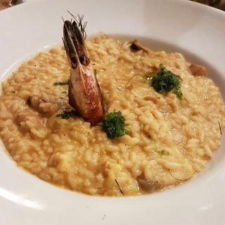 De Suquet De Peix Amb Gamba De Palamós