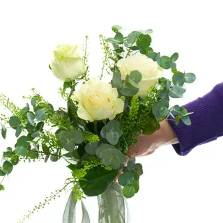 ROSAS BLANCAS