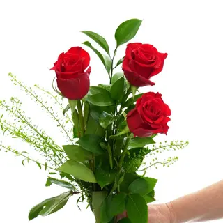 ROSAS ROJA