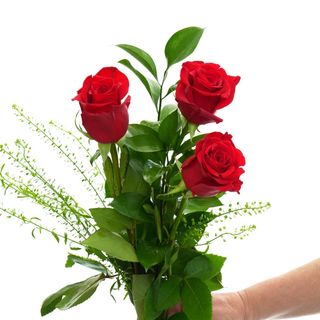 ROSAS ROJA