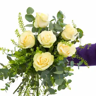 ROSAS BLANCAS