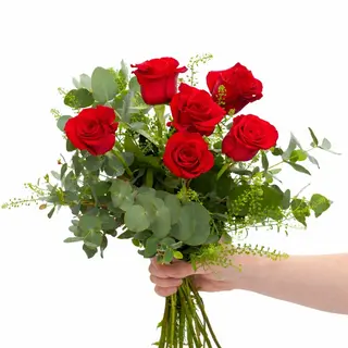 ROSAS ROJAS