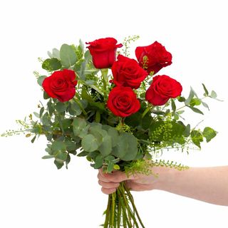 ROSAS ROJAS