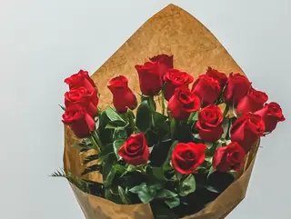 13 rosas rojas