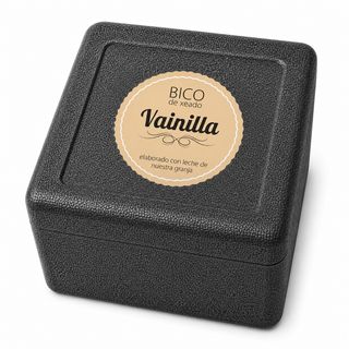 CUBO HELADO VAINILLA BICO DE XEADO