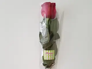 Rosa Roja