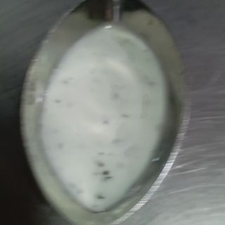 Salsa Yogurt con menta. Dulce. Adicion