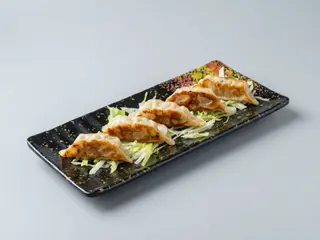 Gyozas pollo y verdura