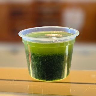 Salsa verde (Grande)