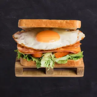 Epic sándwich