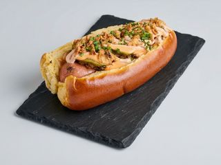 Perrito especial