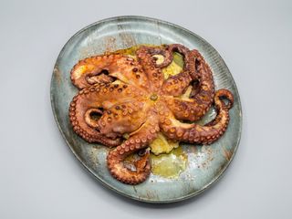 PULPO ENTERO A LA BRASA CON UNA CAMA DE PURE DE PATATA , UNOS 0,600 GR 