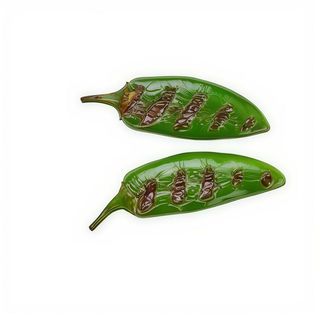 Pimientos asados verdes (2 personas)