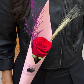 Rosa Sant Jordi 'Sweet'