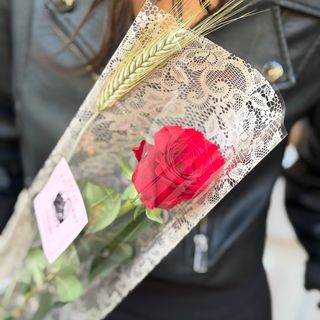 Rosa Sant Jordi 'Lace'