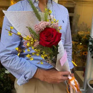 Rosa Sant Jordi 'Spring Explosion'