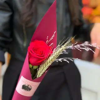 Rosa Sant Jordi 'Elegant'