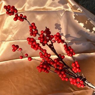 Rama de Helix Artifical