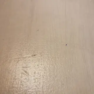 Tagliatelle a la boscaiola