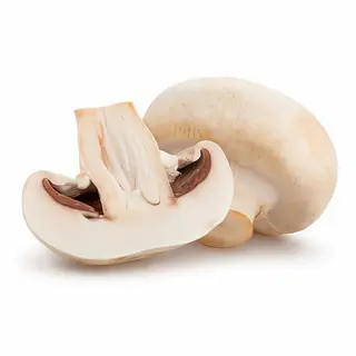 Funghi Porcini