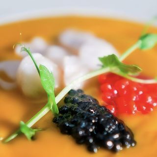 Gazpacho De Mango