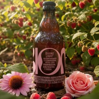 Divine Light (330 Ml.)
