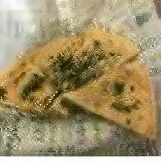QUESACHICKEN