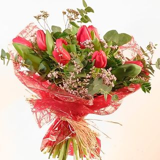 Tulianes rojos