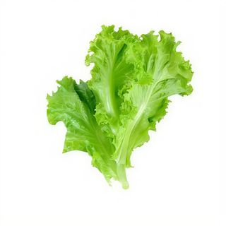 Lechuga (suplemento)