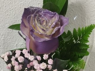 Rosa lila decorada