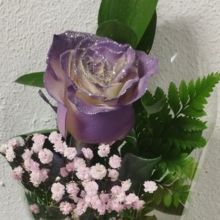 Rosa Lila decorada