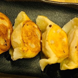 Gyozas rellenas de carne y cebollino PLANCHA