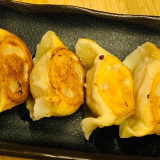Gyozas rellenas de ternera PLANCHA