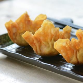 Wantun de pollo y seta para frito (4 Uds)