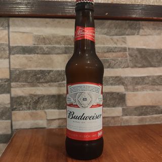 Budweisser beer