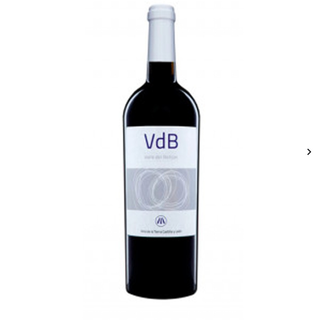 Vino Tinto Valle del Botijas Crianza