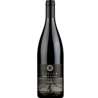 Vino Tinto Lavia Finca Paso Malo