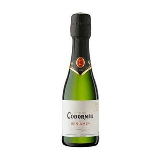 Cava Codorníu Brut Benjamin (20cl)